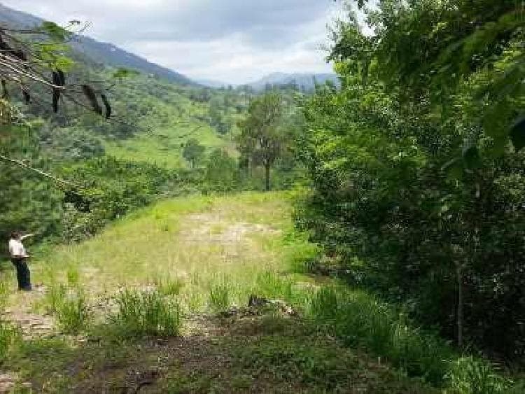 VENDO TERRENO EN JARABACOA 105,892 METROS - 1