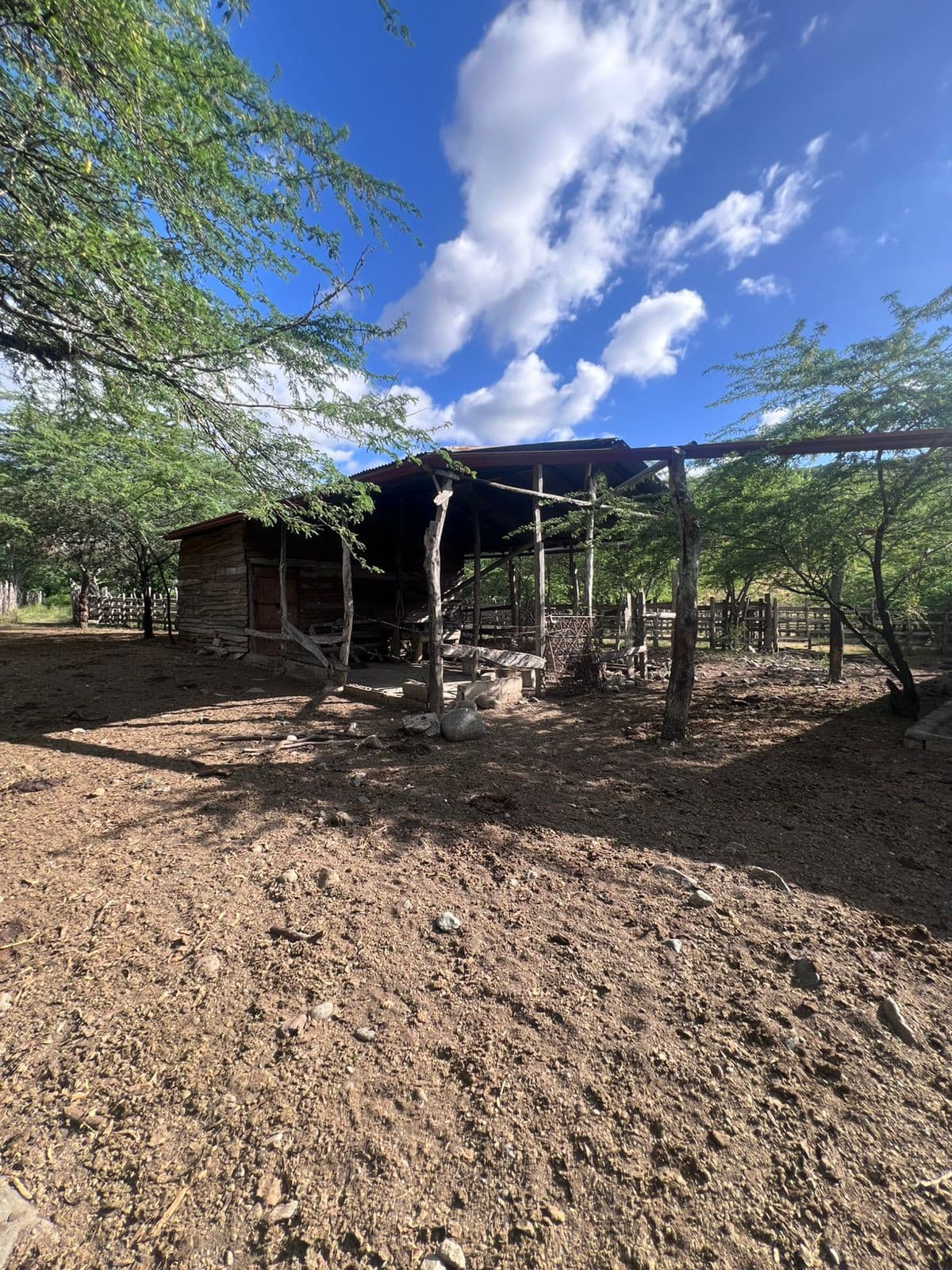 VENTA DE FINCA GANADERA LA CUESTA,LOMA QUEMADA, SAJOMA - 1
