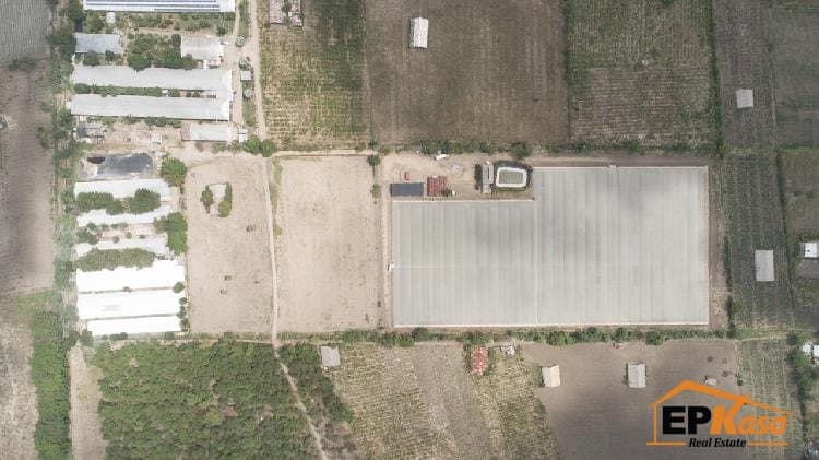 Local Comercial de venta en Villa Gonzalez, Santiago - 1