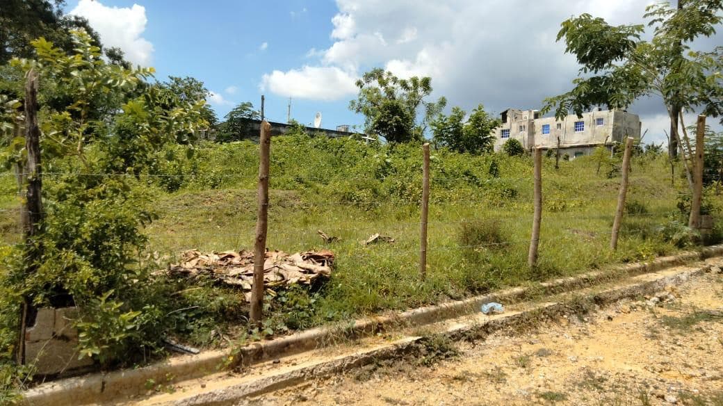 Venta de Terrenos en Residencial Noelia, Sabana Perdida - 1