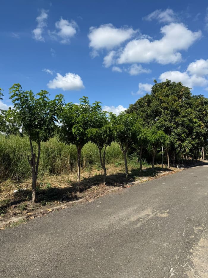 VENTA SOLAR ZONA RESIDENCIAL EN LOS LLANOS DE GURABO - 1