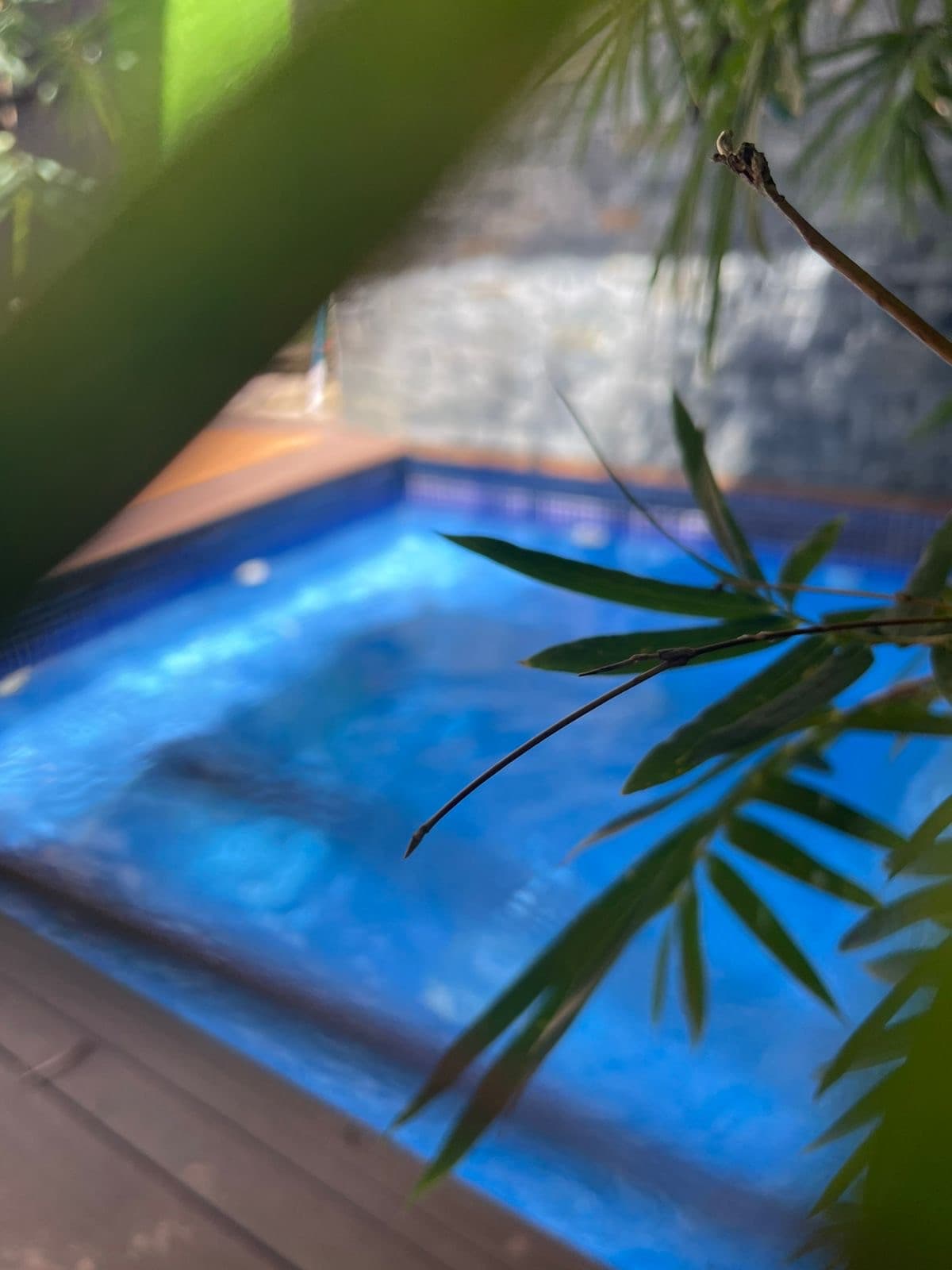 EN VENTA HERMOSA EN BUENA VISTA, JARABACOA - 1