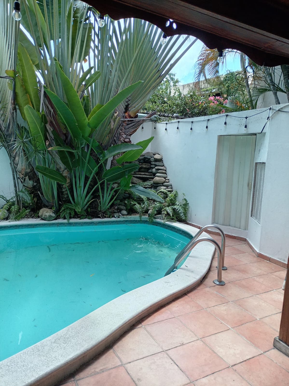 Casa en Alquiler para Uso Comercial en El Fernandez - 1