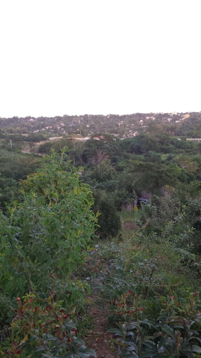 Terreno en venta en la circunvalación oeste - 1