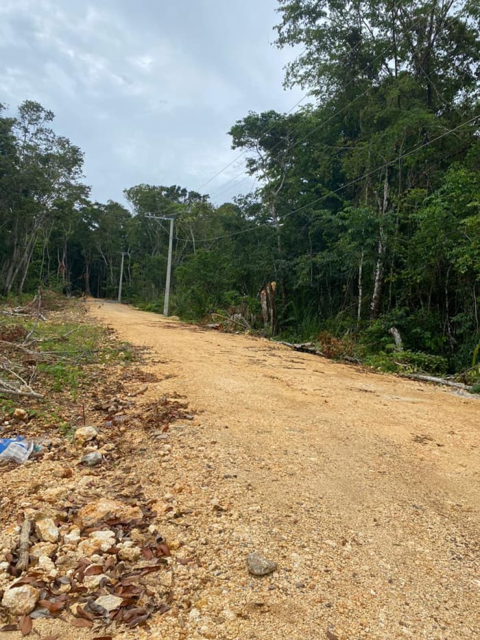 Venta de Terreno residencial en Las Terrenas - 1