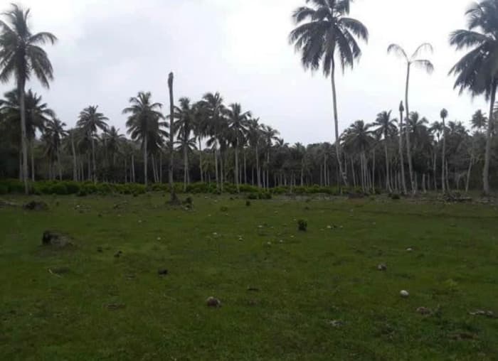 Finca en venta en Samaná - 1