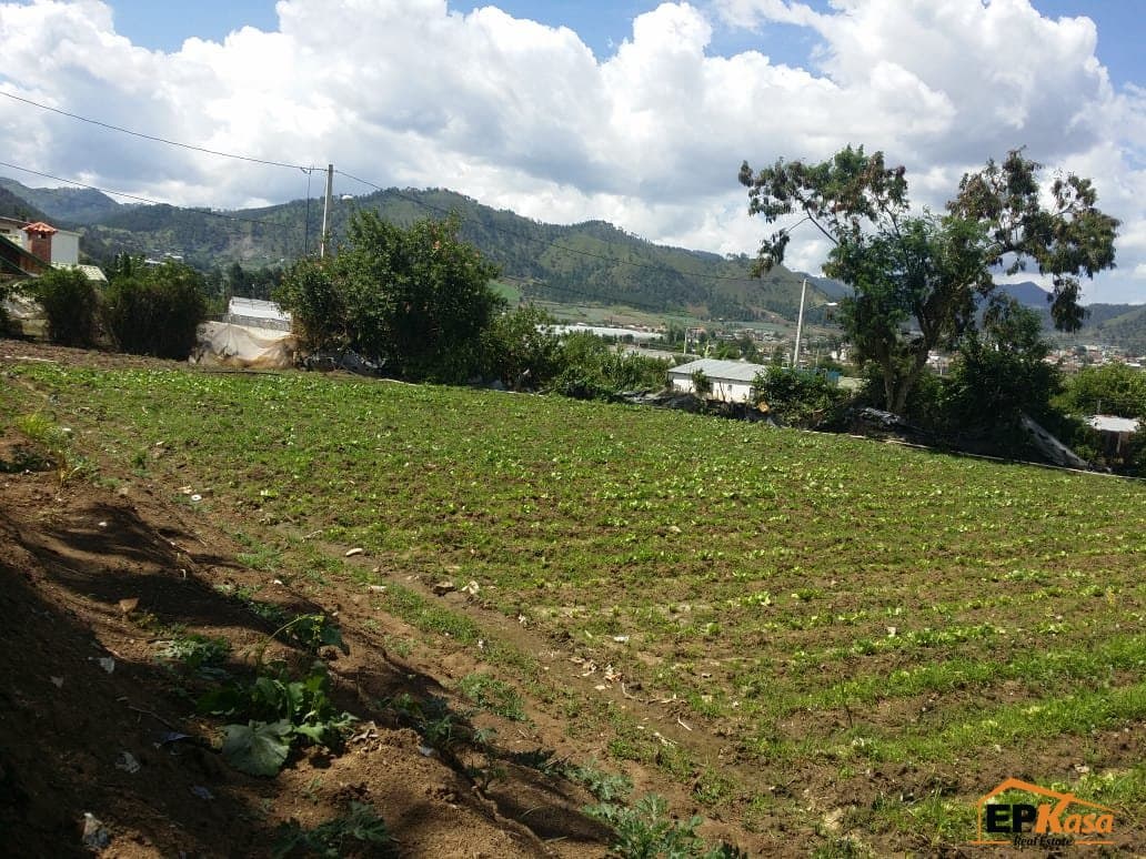 Solar en Venta de 702.60 metros en Constanza - 1