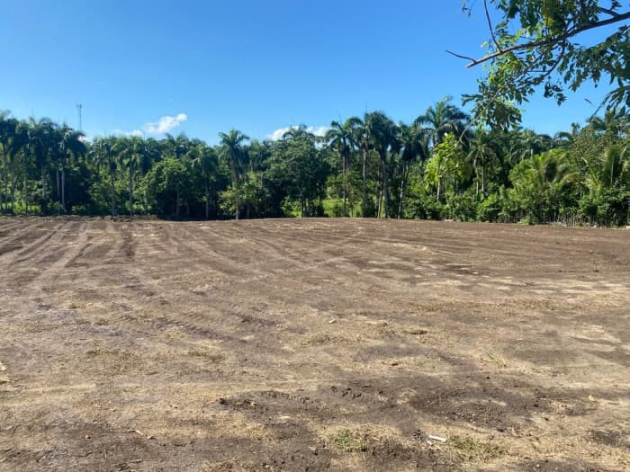 Venta de solares en Muñoz, Puerto Plata. - 1