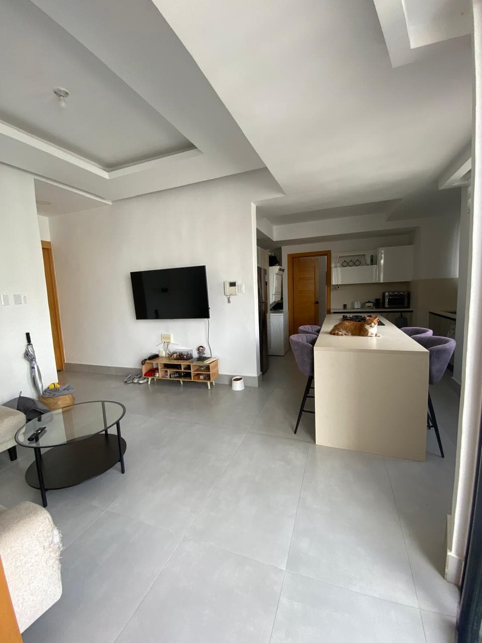Venta de apartamento 1 habitacion en Evaristo Morales - 1