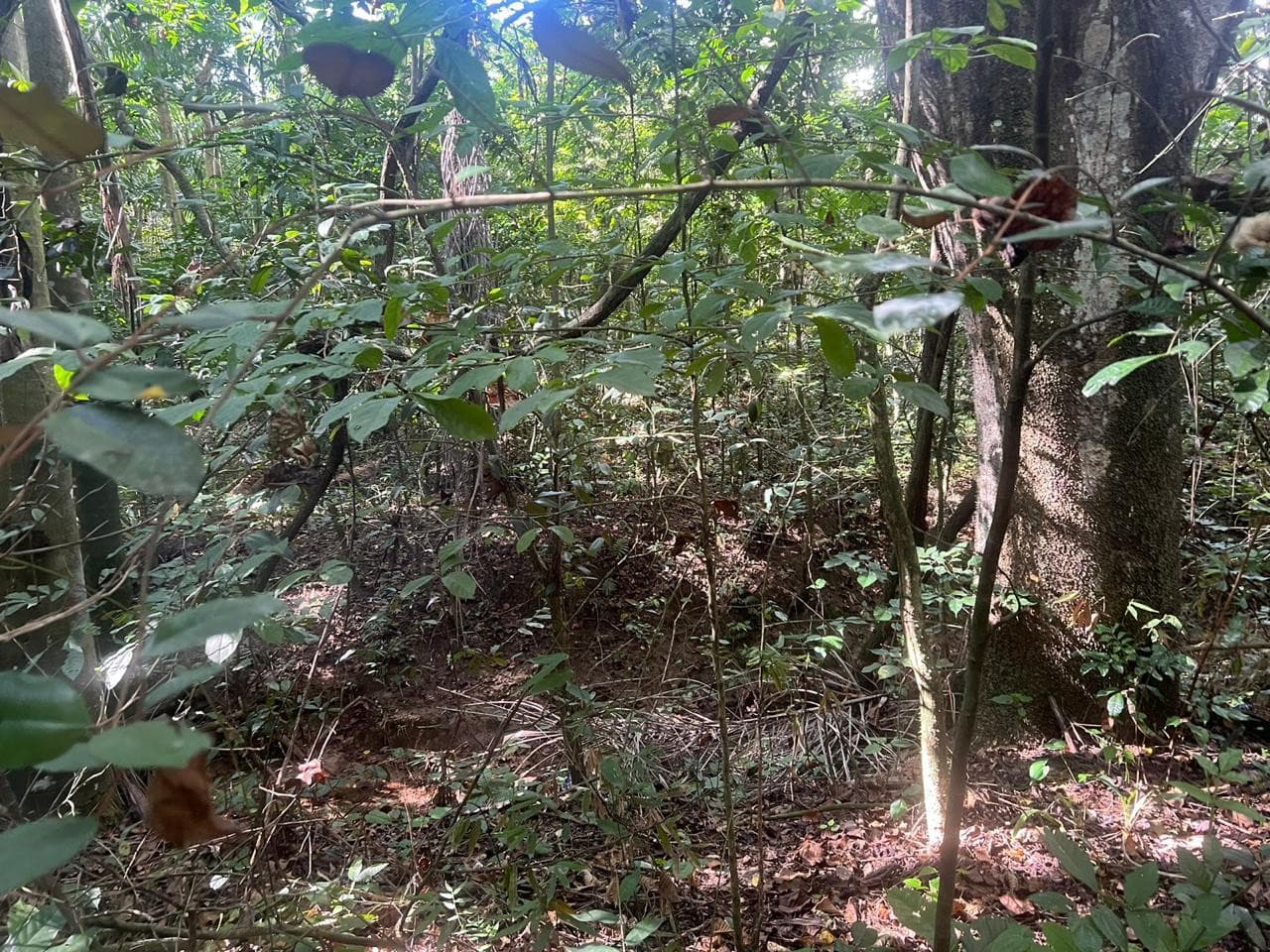 Terreno en Venta de 27,789 MTS2 Circunvalación Sto Dgo - 1