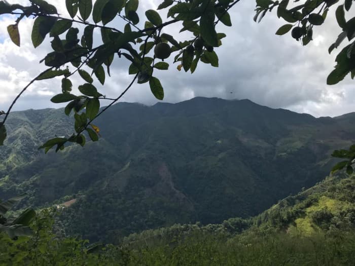 VENTA DE TERRENO AGRICOLA EN LOS RANCHITOS , OCOA - 1