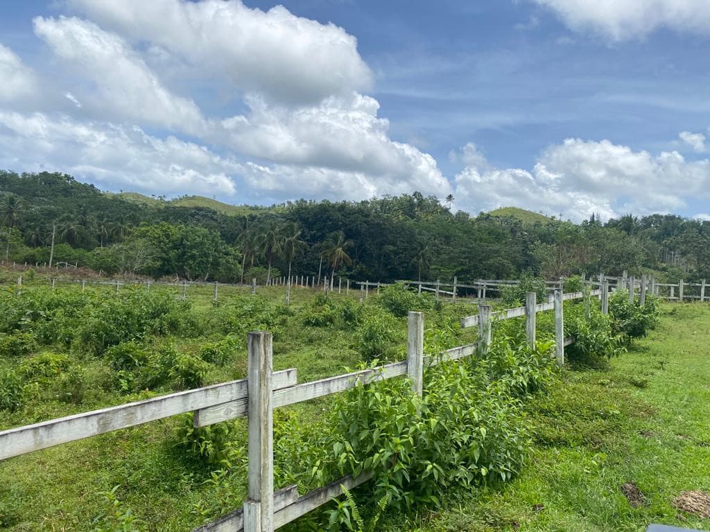 Terreno Ecológico en Venta Las Terrenas 191,000 mts - 1