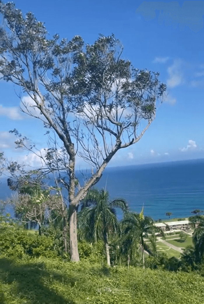 Terreno en Venta proximo a Playa Grande: Río San Juan - 1