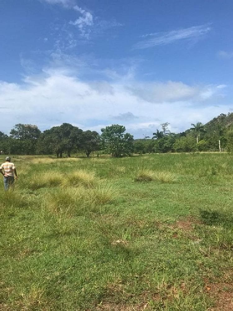 Terreno en Venta en la Guazuma las Galeras - 1