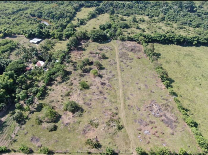 En Venta Terreno Industrial O Agropecuario Pedro Brand - 1