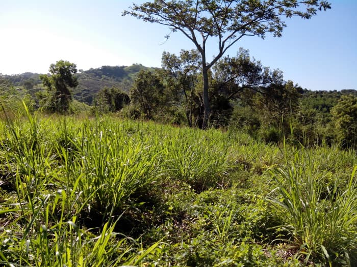Solar en venta villa Altagracia en Proyecto Cerrado - 1