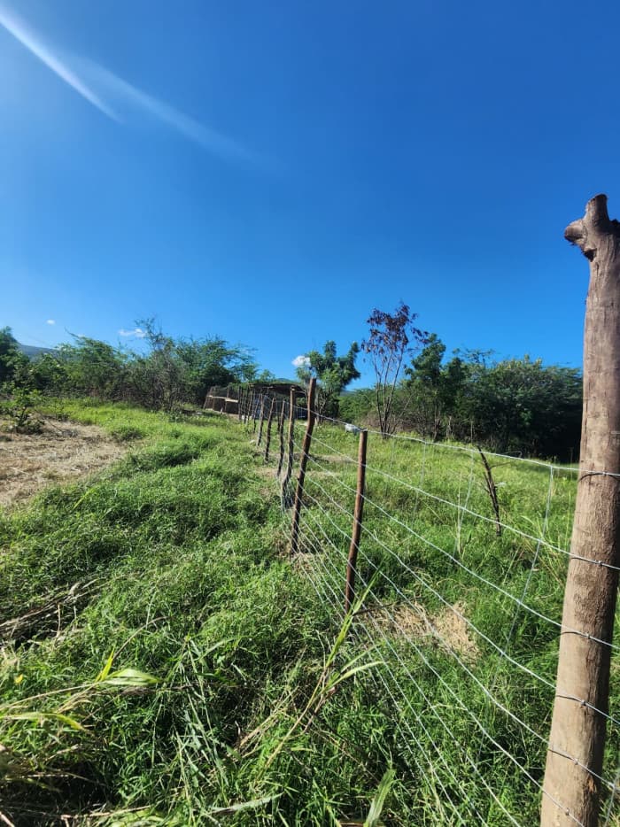 VENTA DE FINCA AGRICOLA Y GANADERA GUATAPANAL MAO - 1