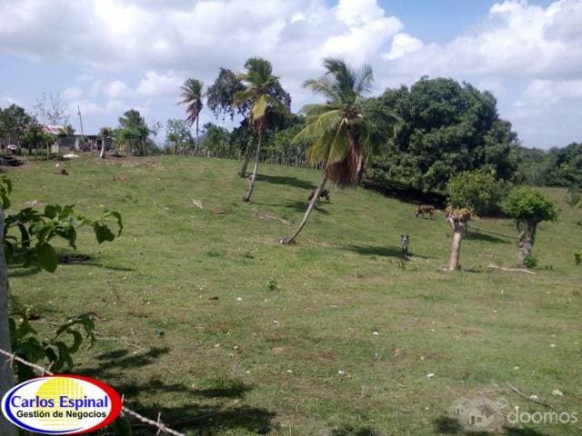 Finca Ganadera de Venta en La Altagracia, Rep. Dominicana - 1