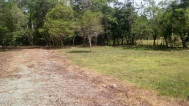 Solares de 400 m2 Jarabacoa - 1