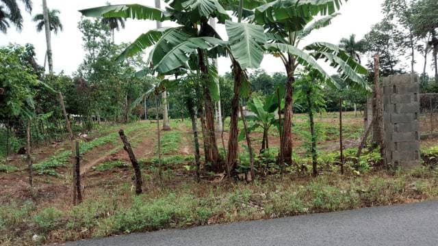 se vende 108 tarea de tierra en bonao - 1