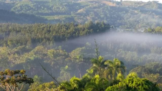 se vende 4000 tarea de tierra en san francisco de macoris - 1