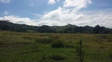Más de 2,500 Tareas de Terreno para Ganadería en Montecristi! - 1