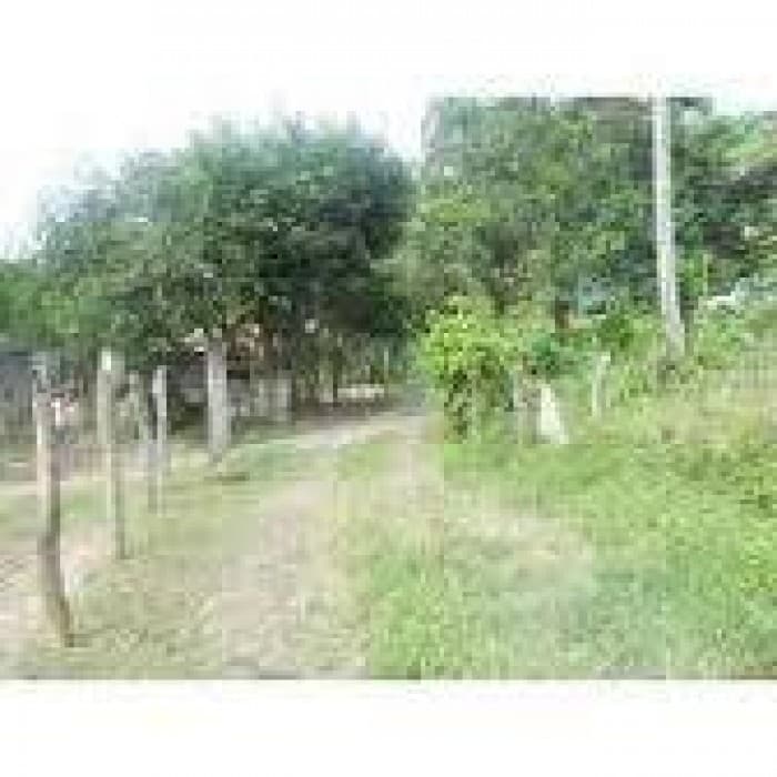 TERRENO EN VENTA EN MONTE PLATA REPÚBLICA DOMINICANA - 1
