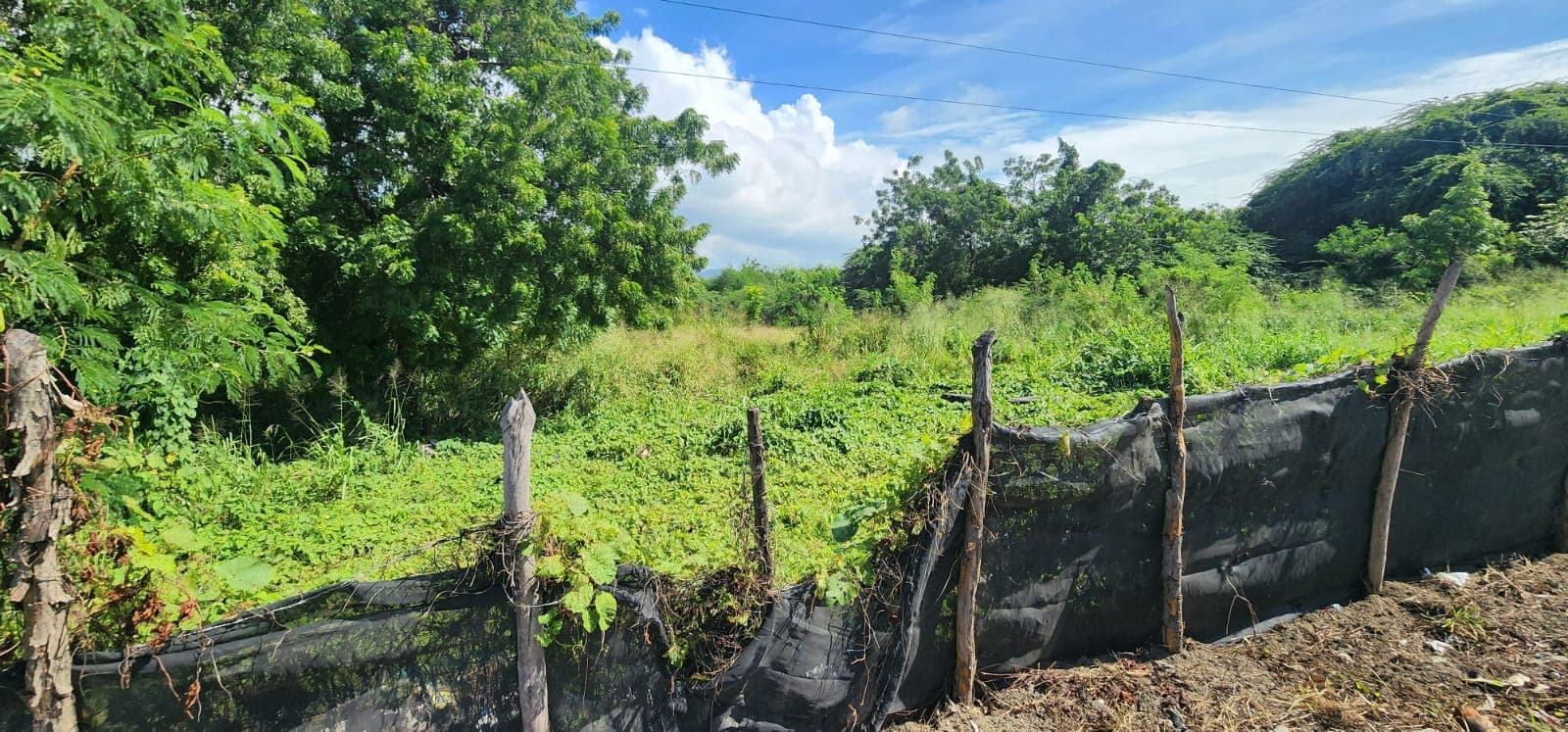 VENTA DE TERRENO COMERCIAL EN VILLA GONZALEZ - 1