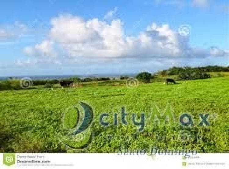 TERRENO COMERCIAL EN VENTA LOS PRADOS DE SAN CRISTOBAL - 1