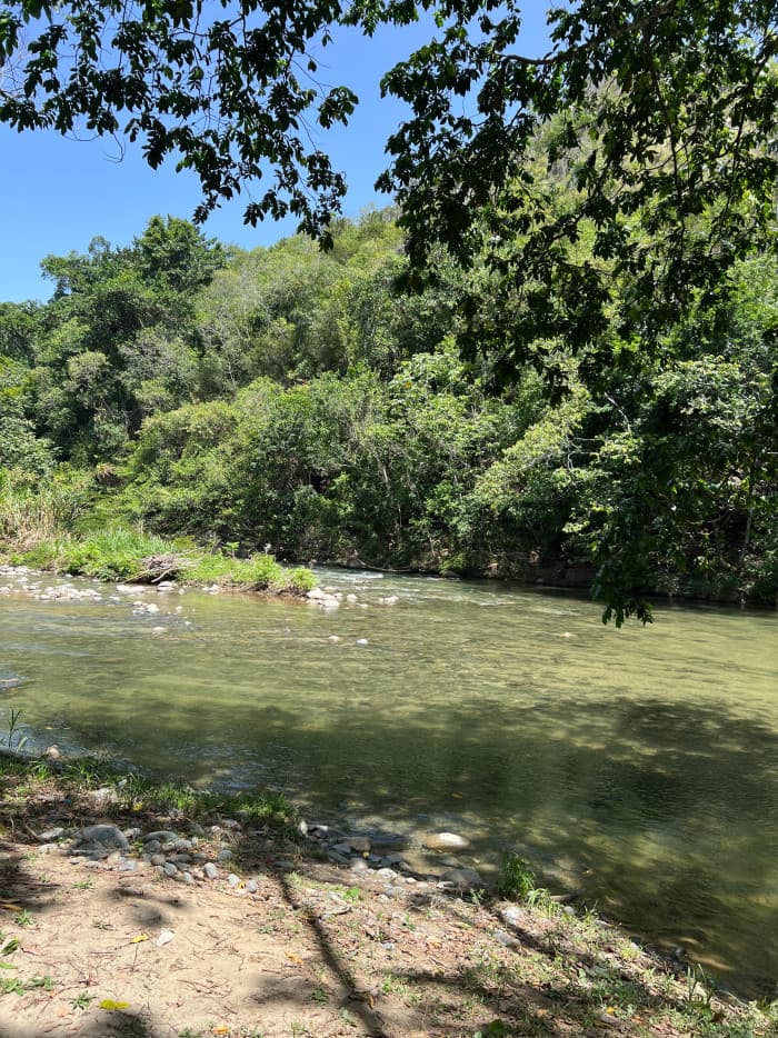 EN VENTA TERRENO EN SAN JOSE DE LAS MATAS - 1