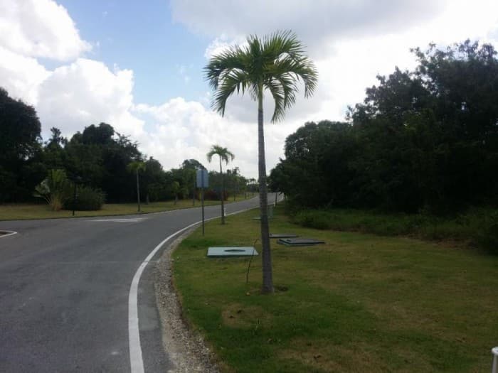 Solar en venta en Playa Nueva romana - 1