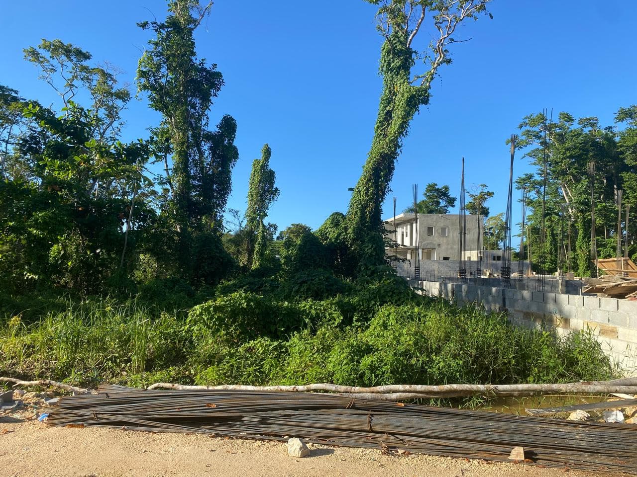 EN VENTA TERRENO EN LAS TERRENAS SAMANA - 1