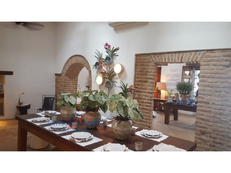 Casa colonial de 2 niveles y 2 Terrazas con vista a la Ciudad Colonial - 1